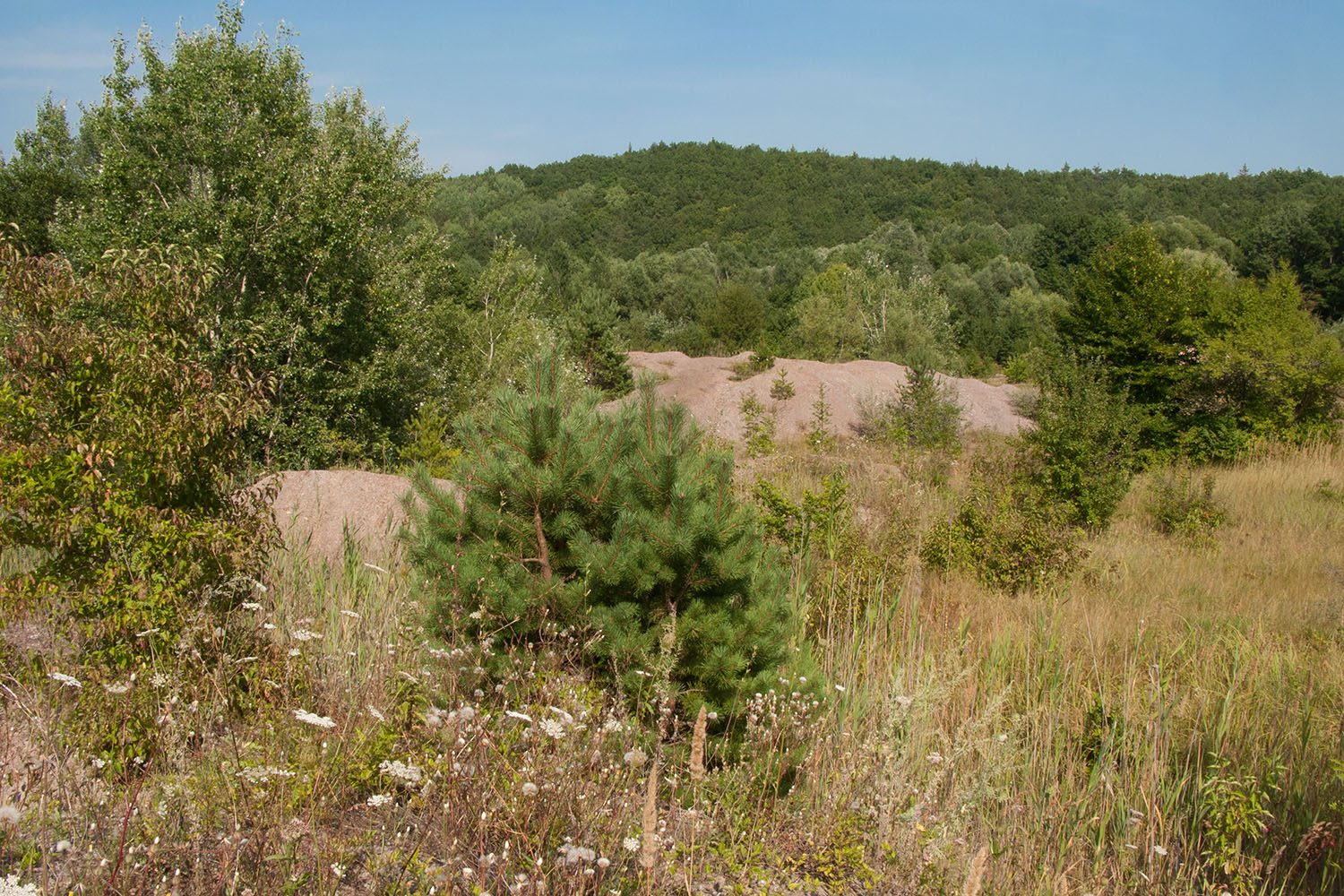 Заброшенный ртутный карьер, изображение ландшафта.