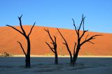 Намиб, изображение ландшафта.
