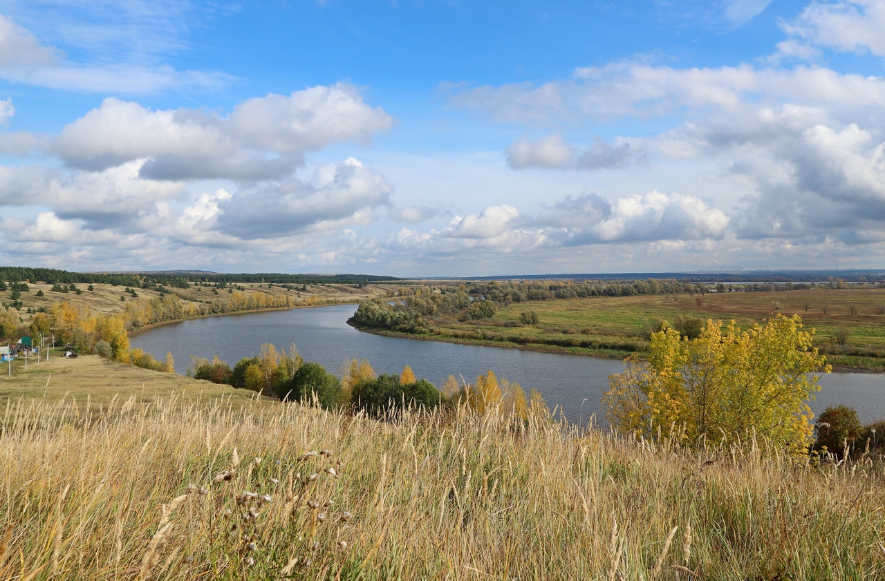 Окрестности села Свиногорье, image of landscape/habitat.