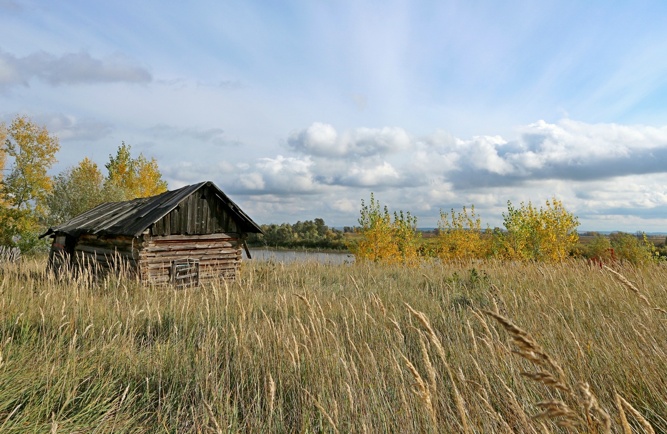 Окрестности села Свиногорье, image of landscape/habitat.