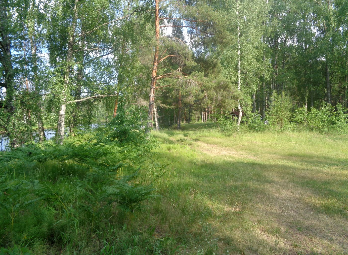 Пьяная поляна, image of landscape/habitat.