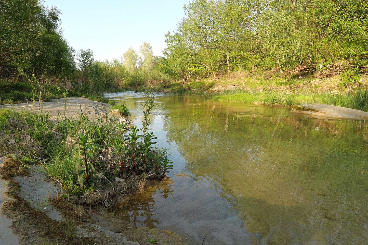 Река Неберджай, image of landscape/habitat.