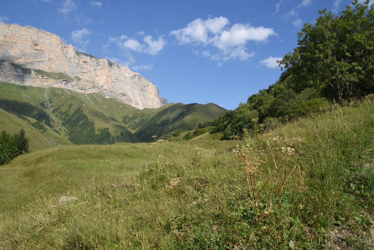 Цумандинский перевал, изображение ландшафта.
