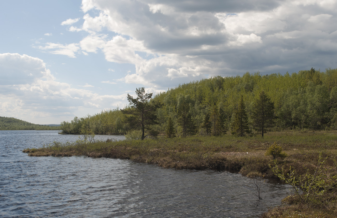 Озеро Кильдинское, изображение ландшафта.