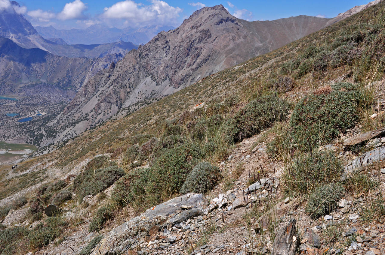 Перевал Лаудан, изображение ландшафта.