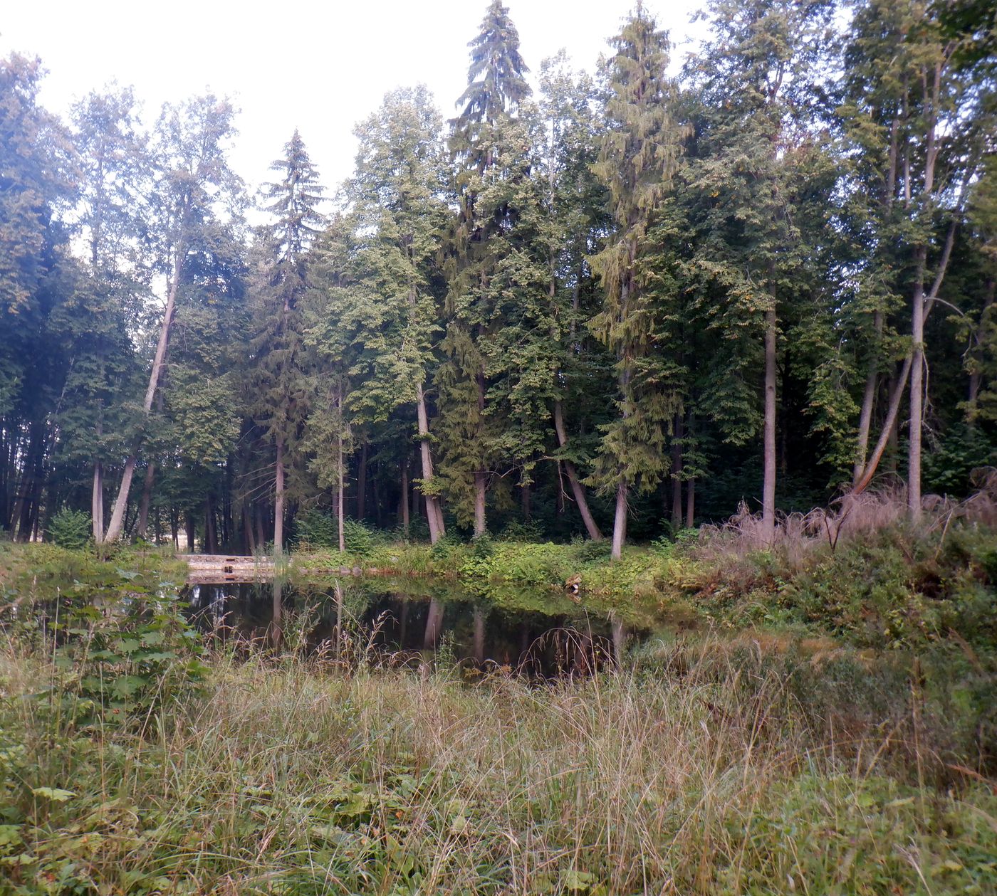 Знаменское-Раёк, изображение ландшафта.