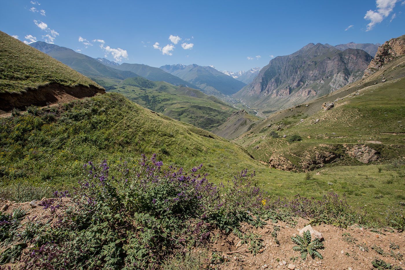 Перевал Шузулгу, изображение ландшафта.